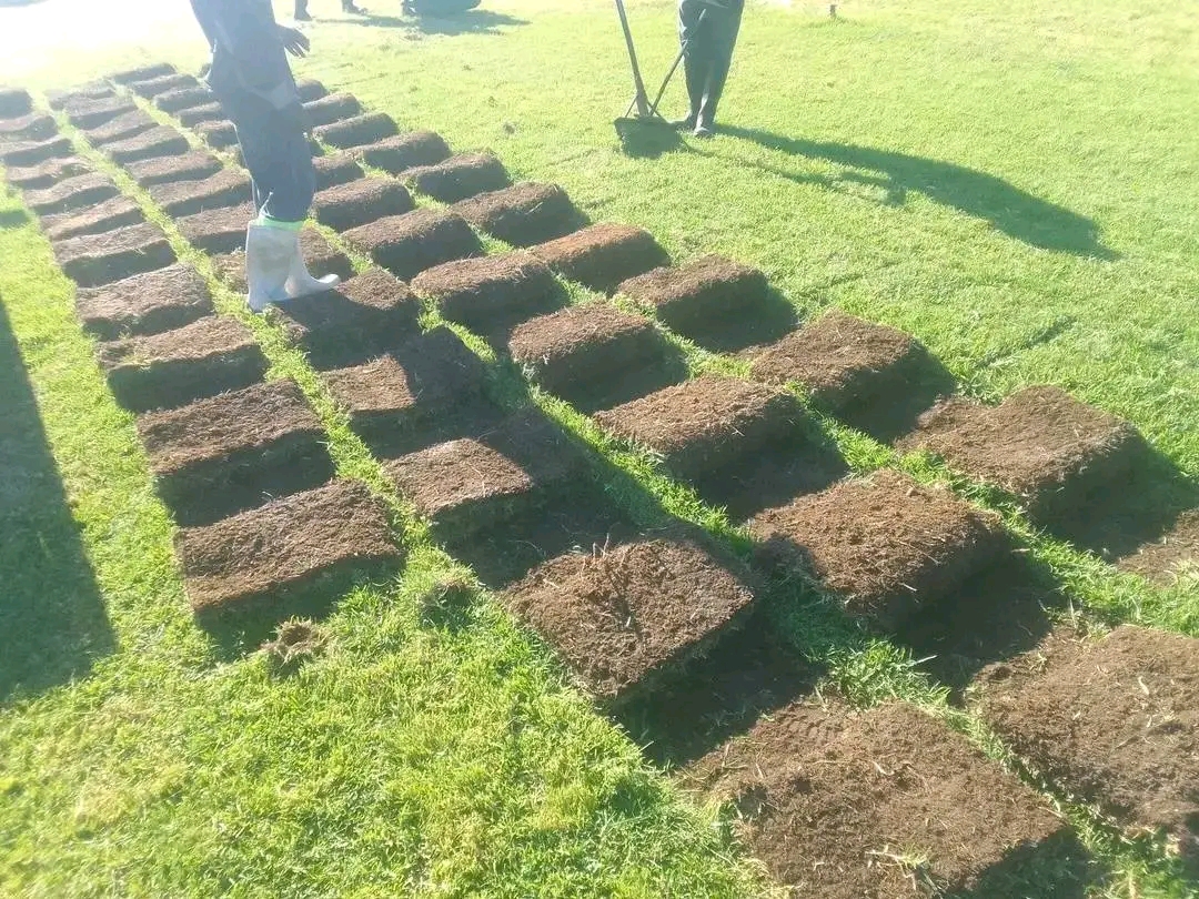 Installation process