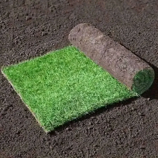 Grass laying