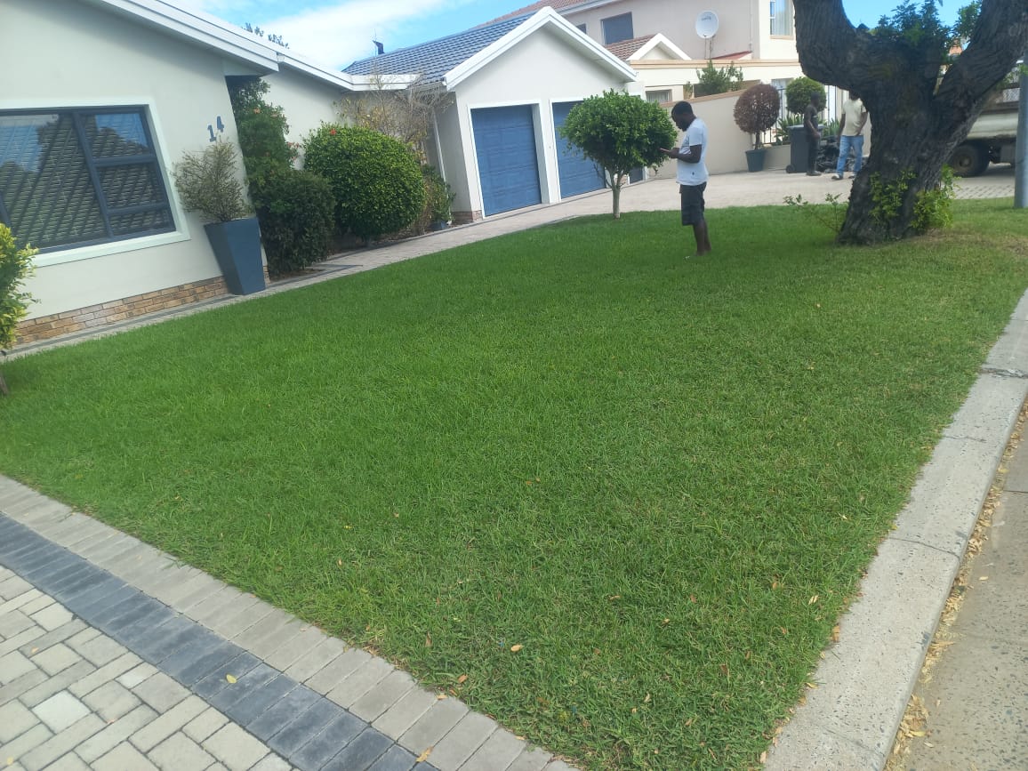 Isaac standing on a finished lawn