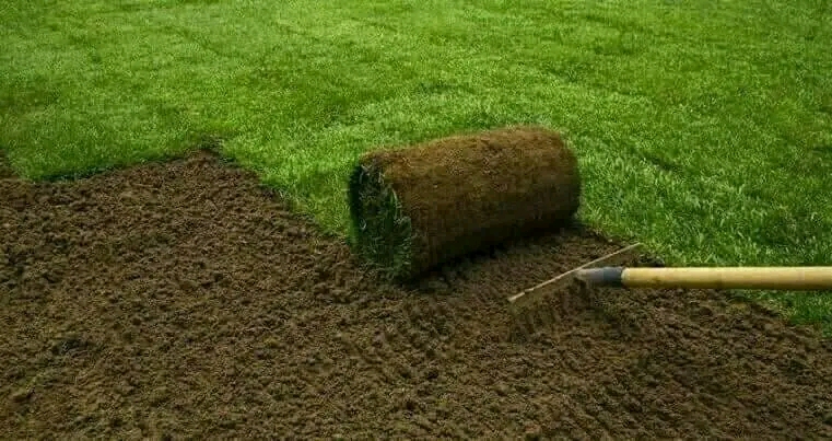 Isaac Lawn Grass Master - Professional lawn installation